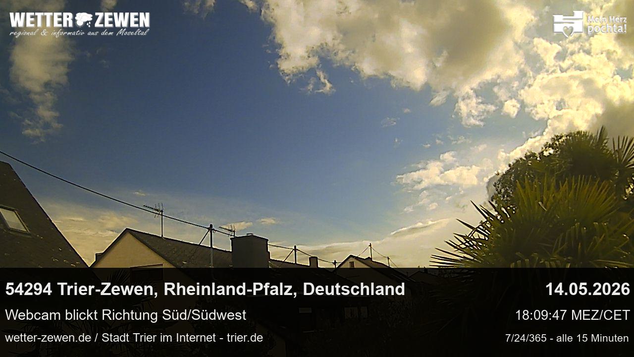 Bild