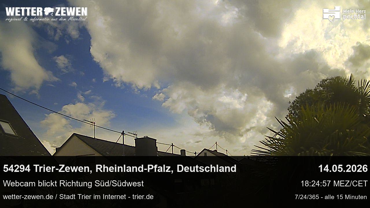 Bild