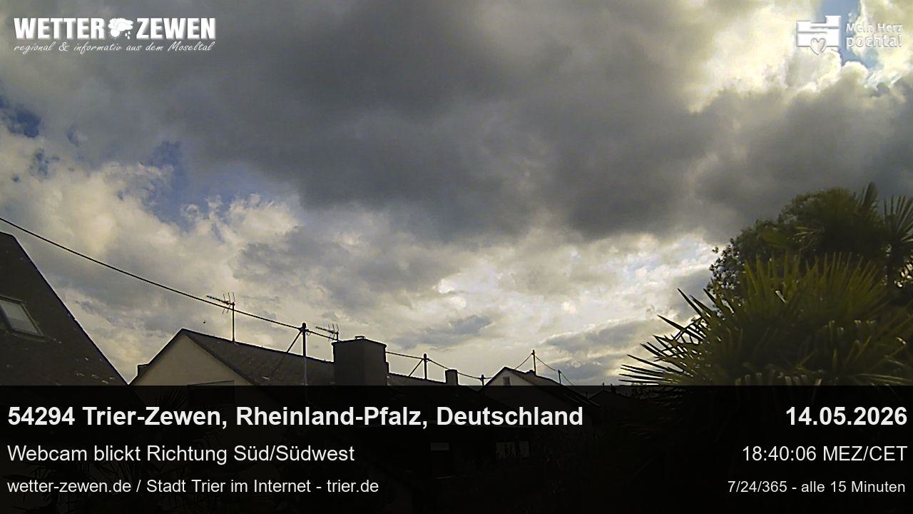 Bild