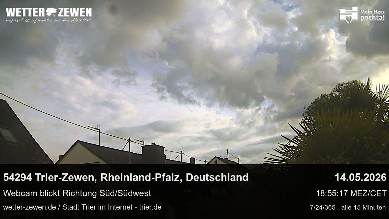 Bild