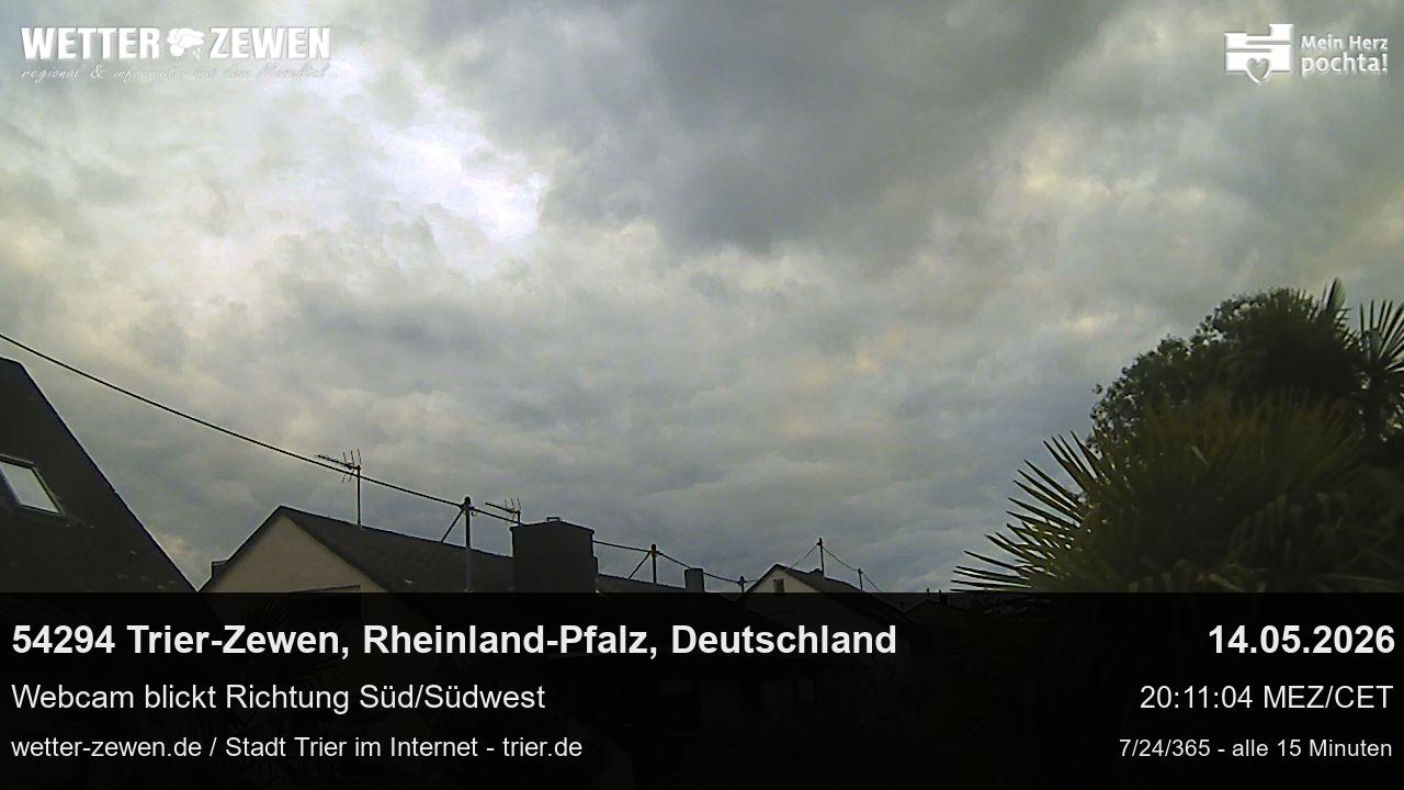 Bild