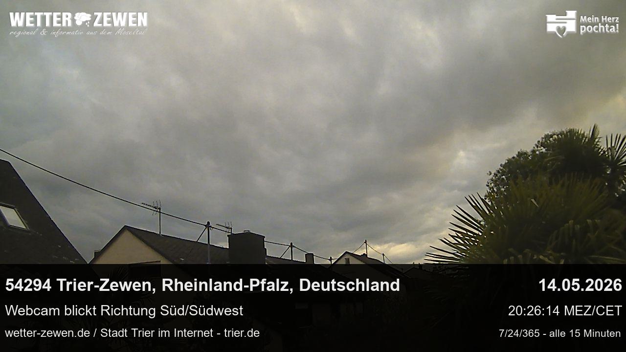 Bild