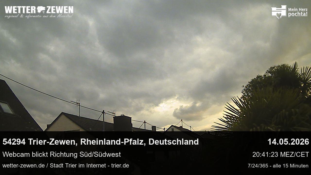 Bild