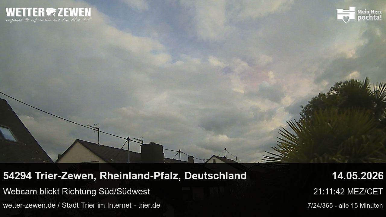 Bild