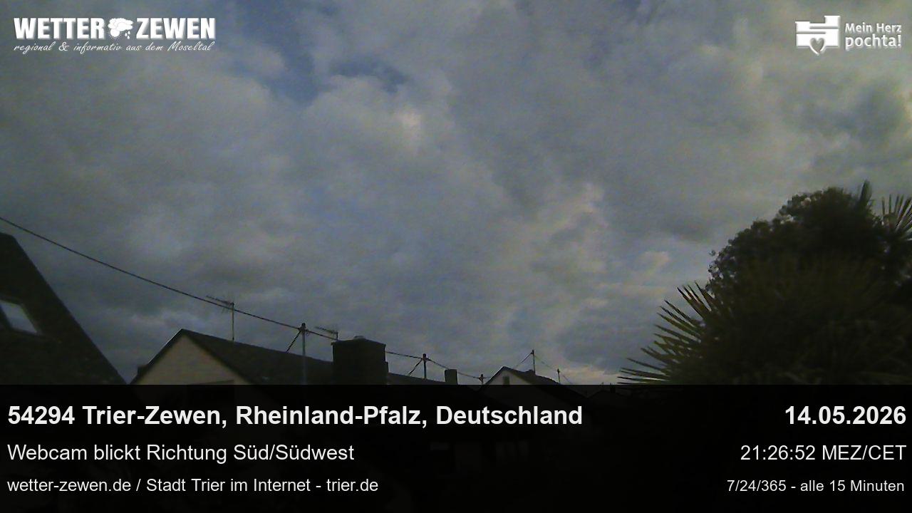 Bild