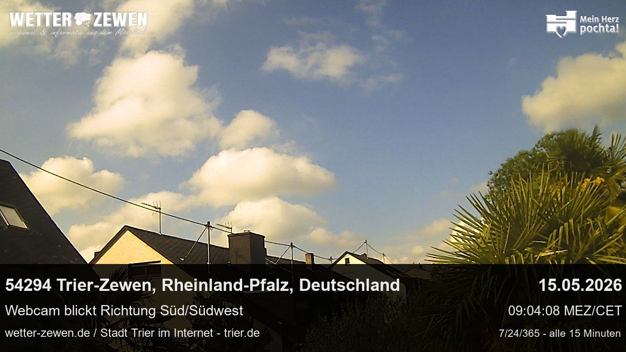 Bild