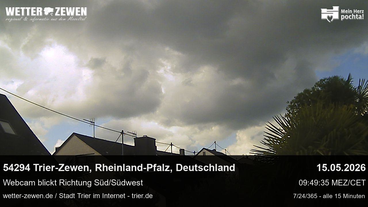 Bild