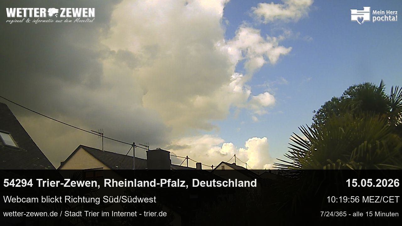 Bild