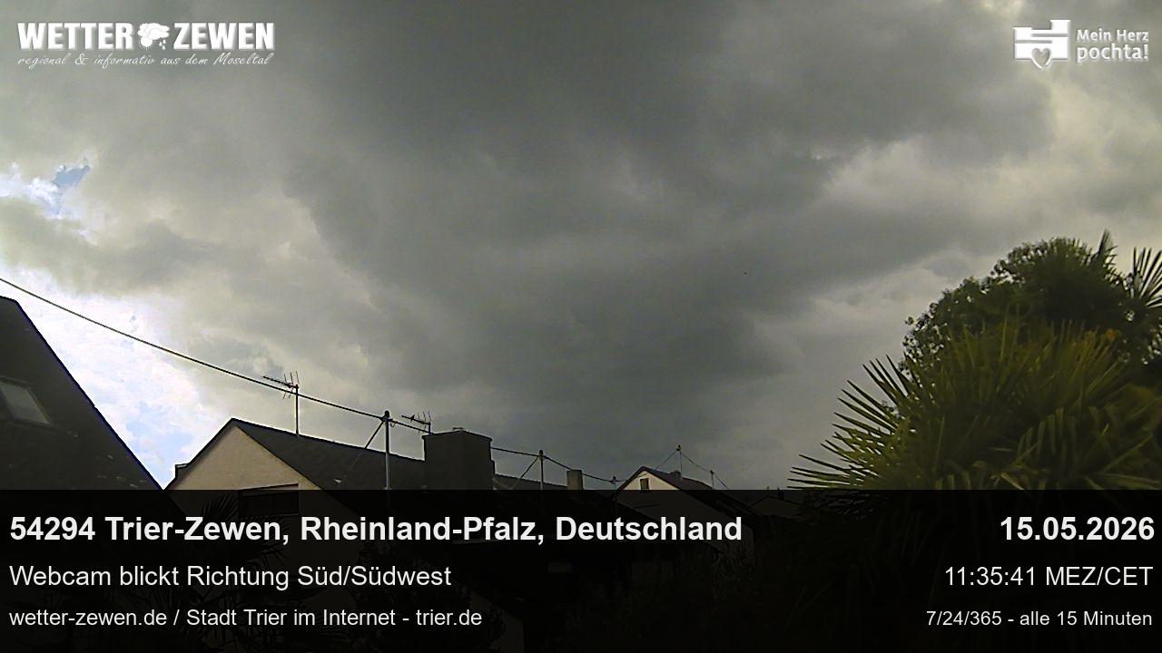 Bild