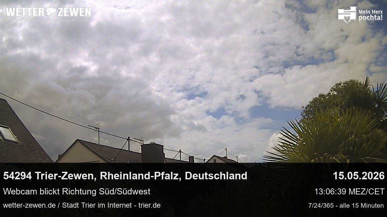 Bild