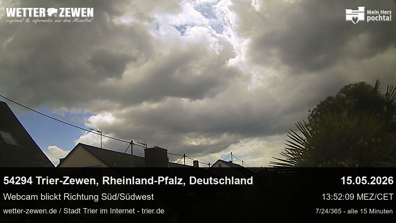Bild