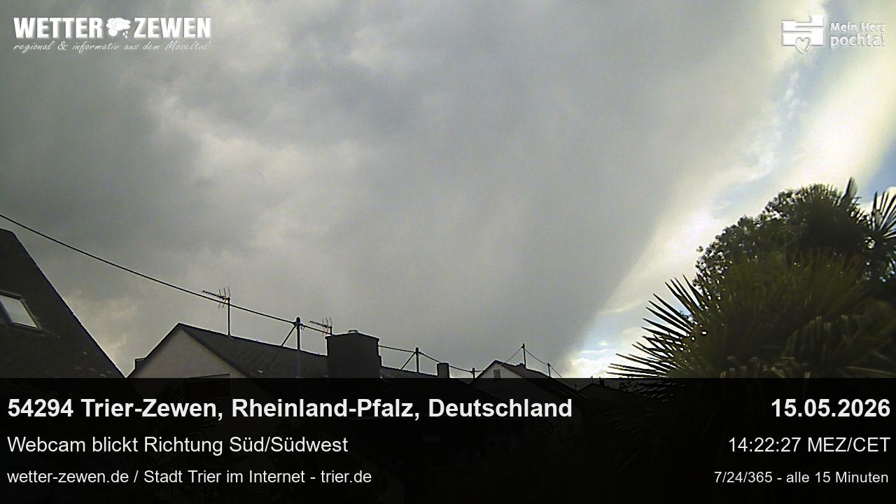 Bild