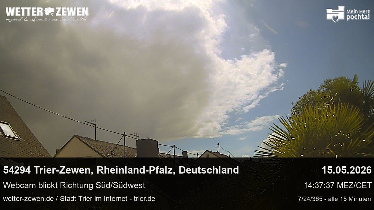 Bild