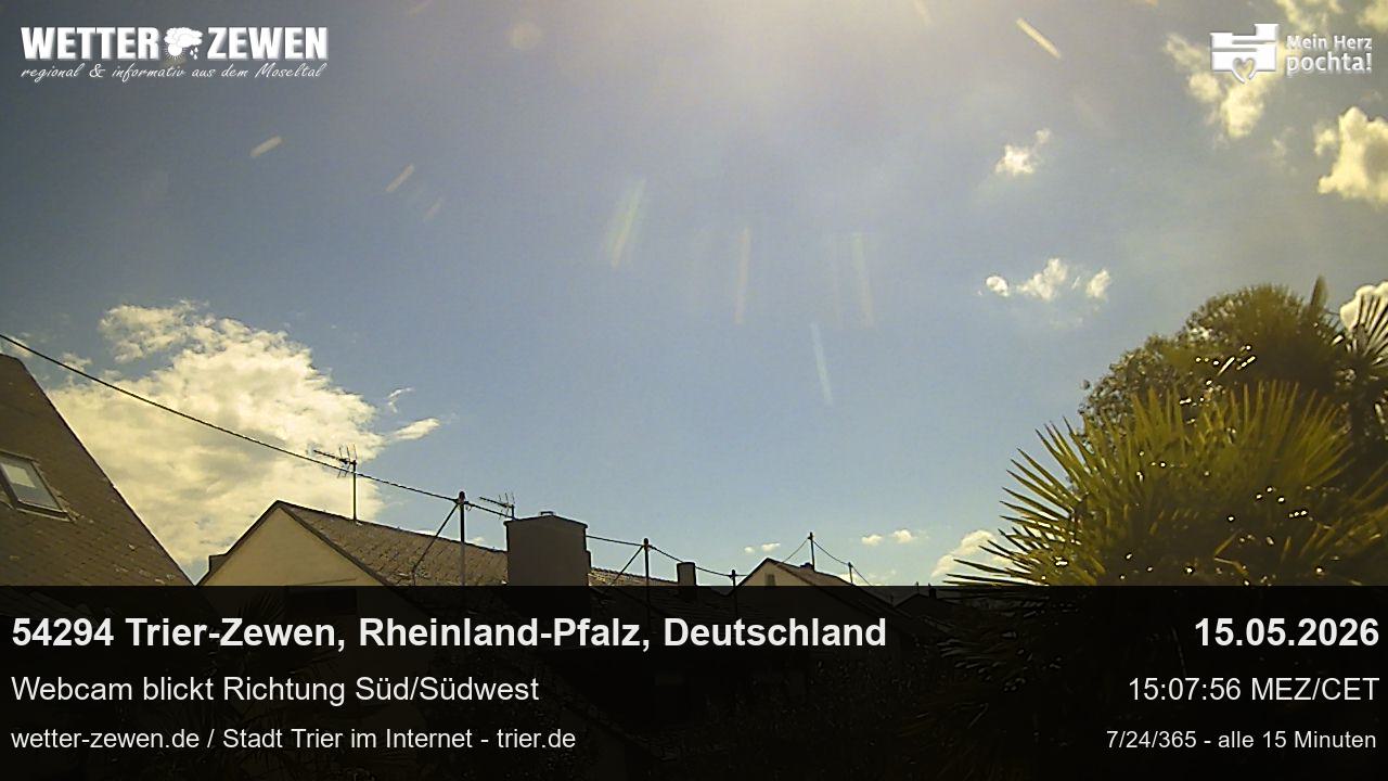 Bild