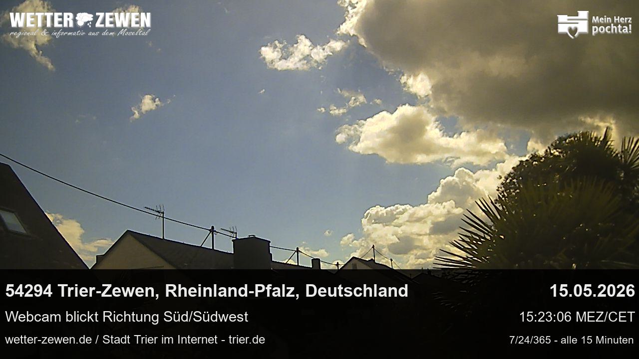 Bild