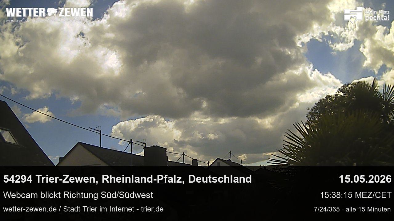 Bild