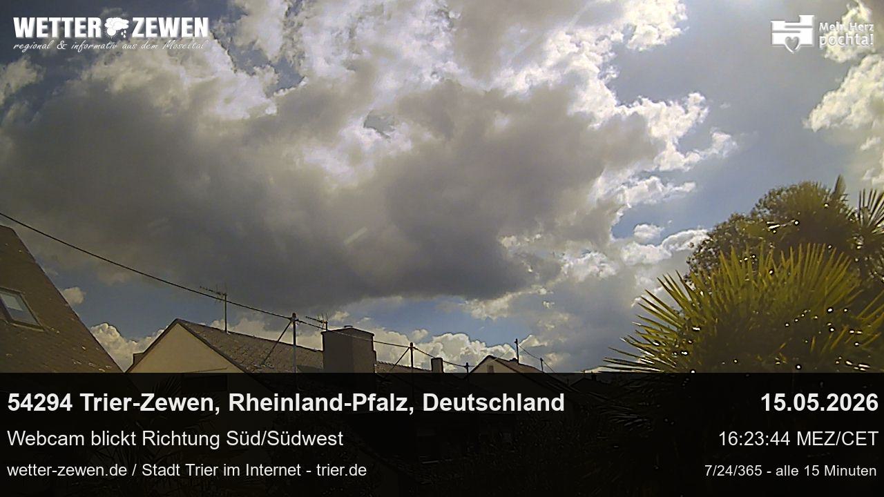 Bild
