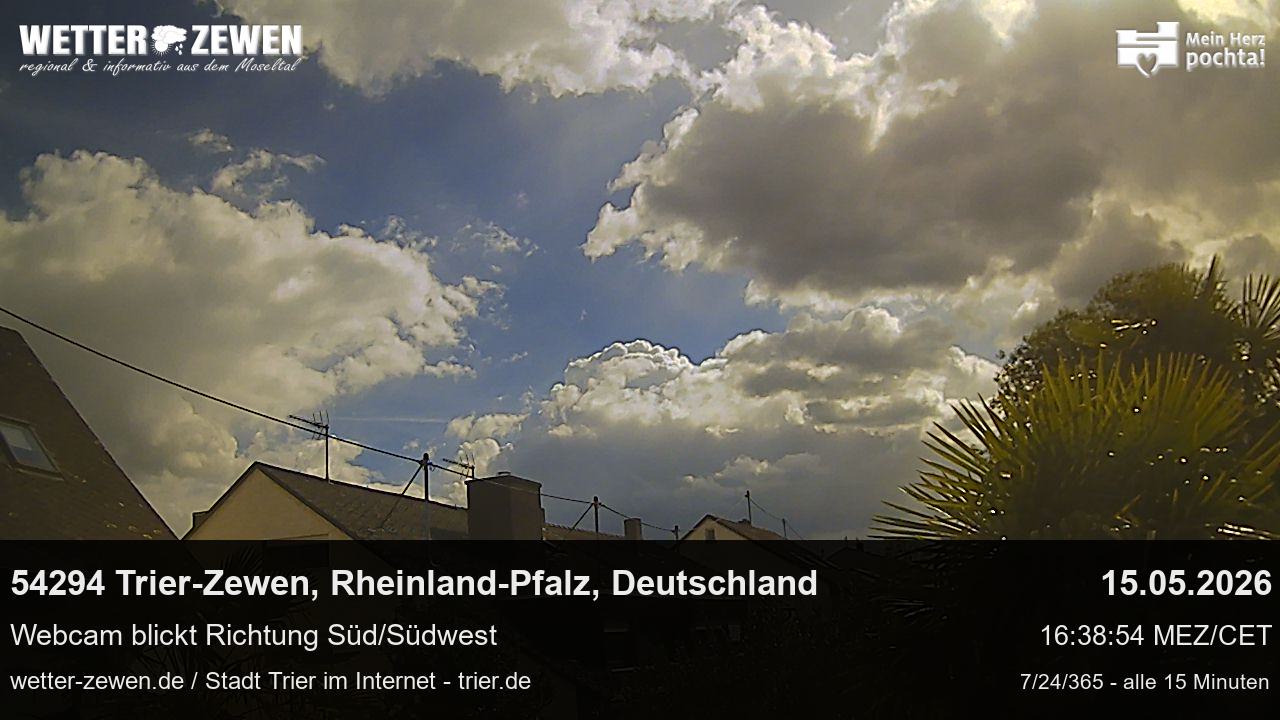 Bild