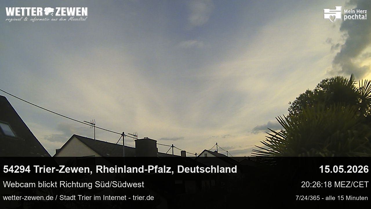 Bild