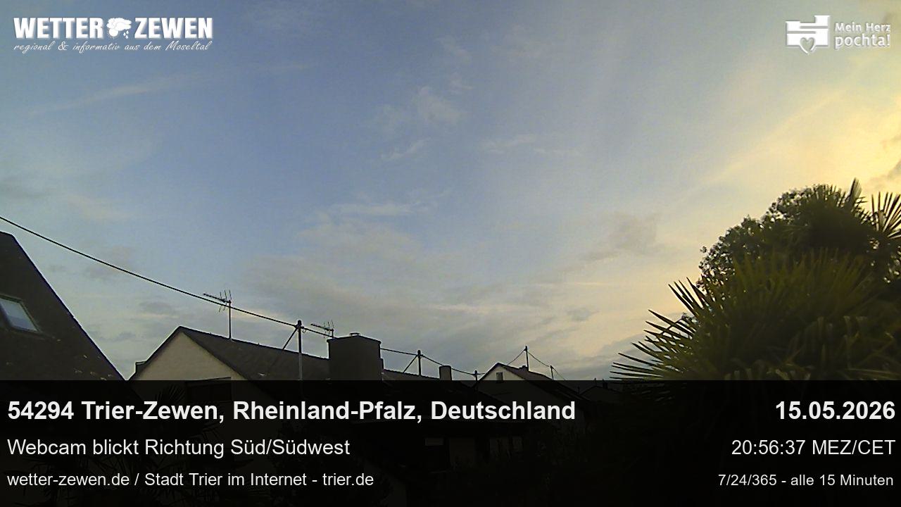 Bild