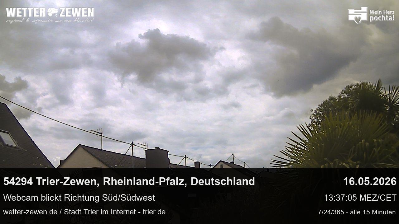 Bild