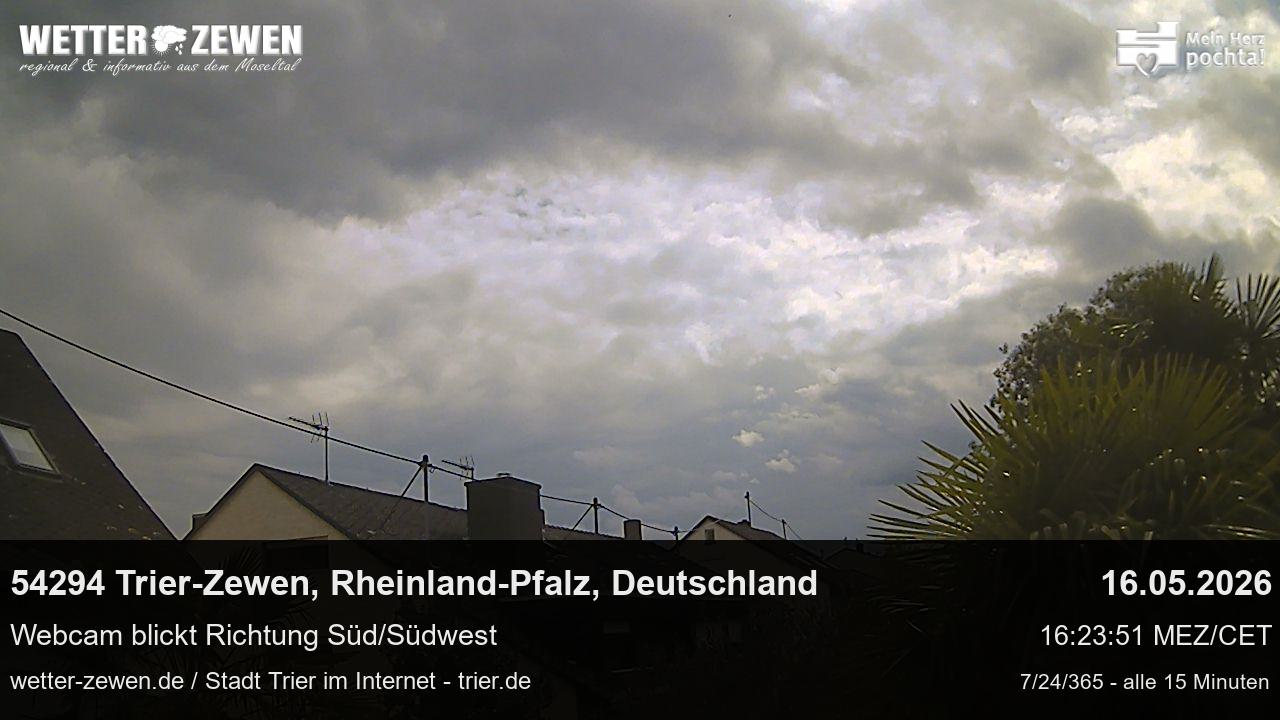 Bild