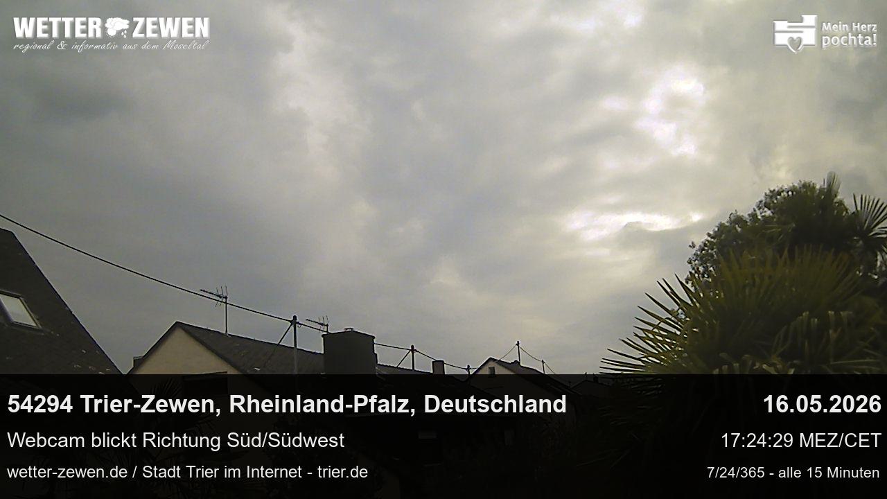 Bild