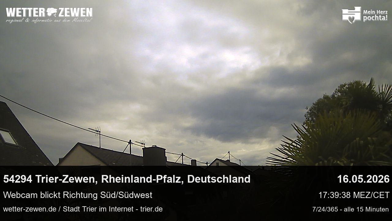 Bild