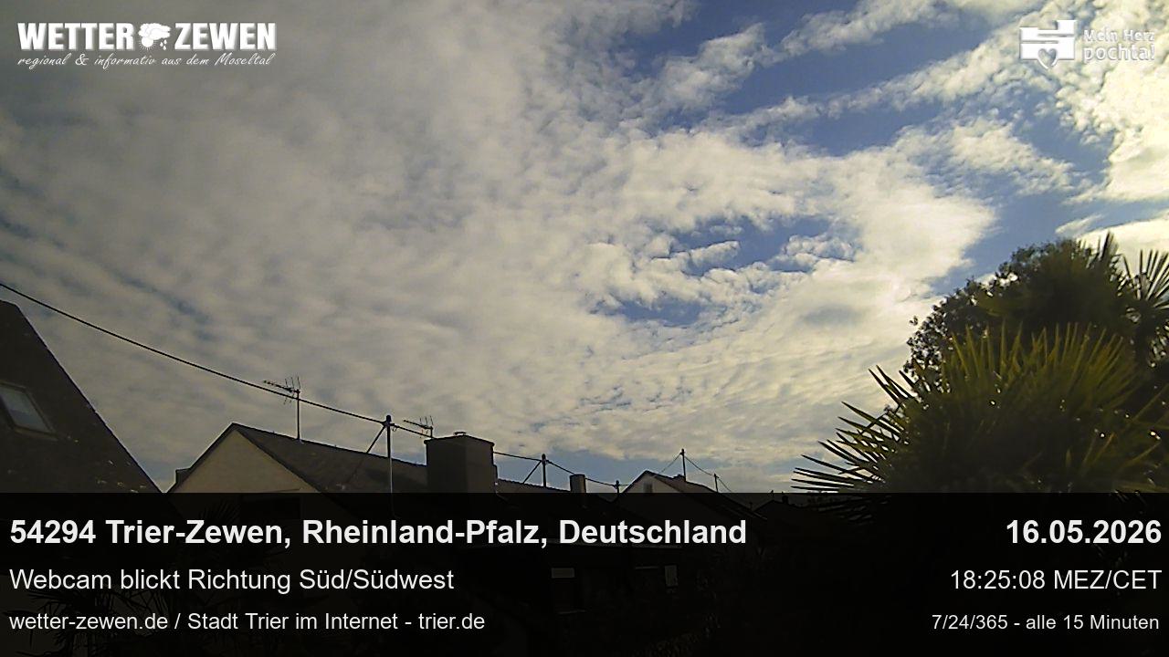Bild