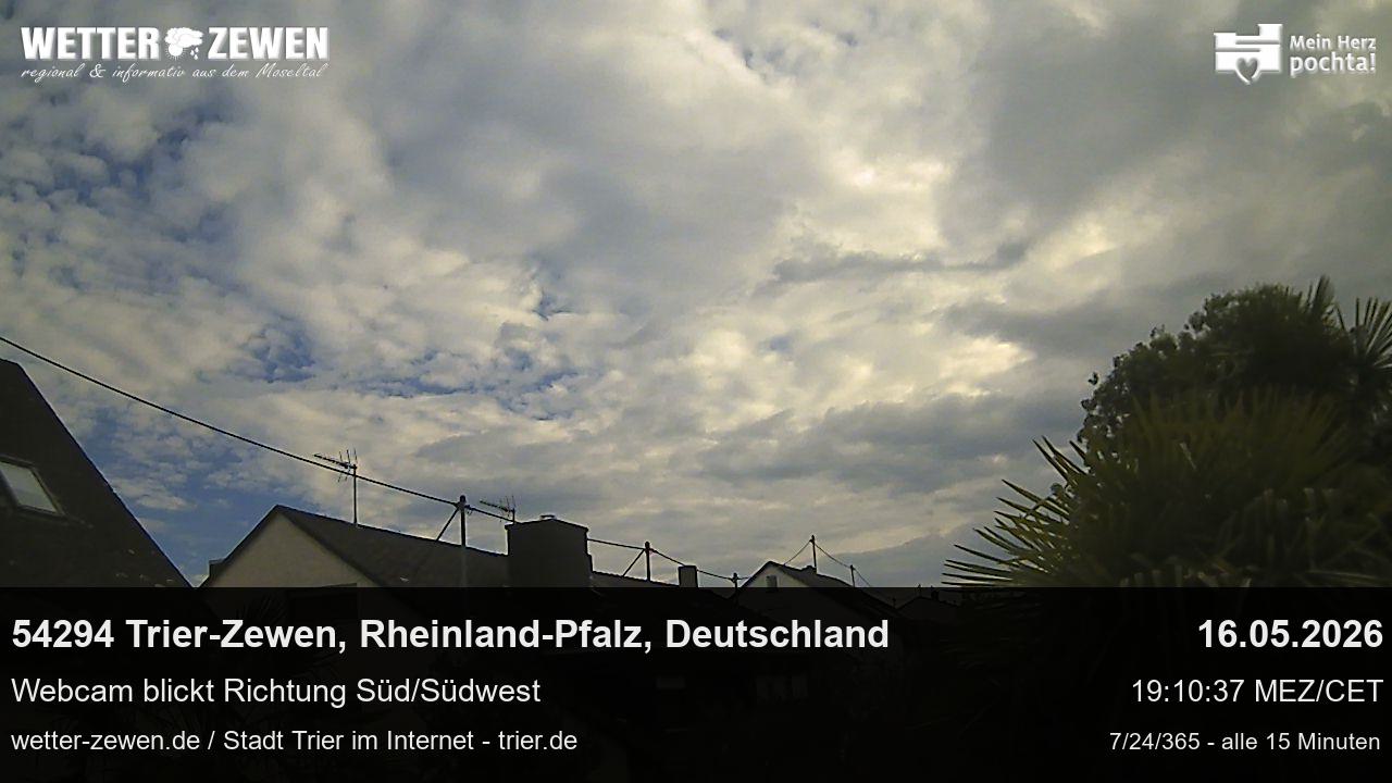 Bild