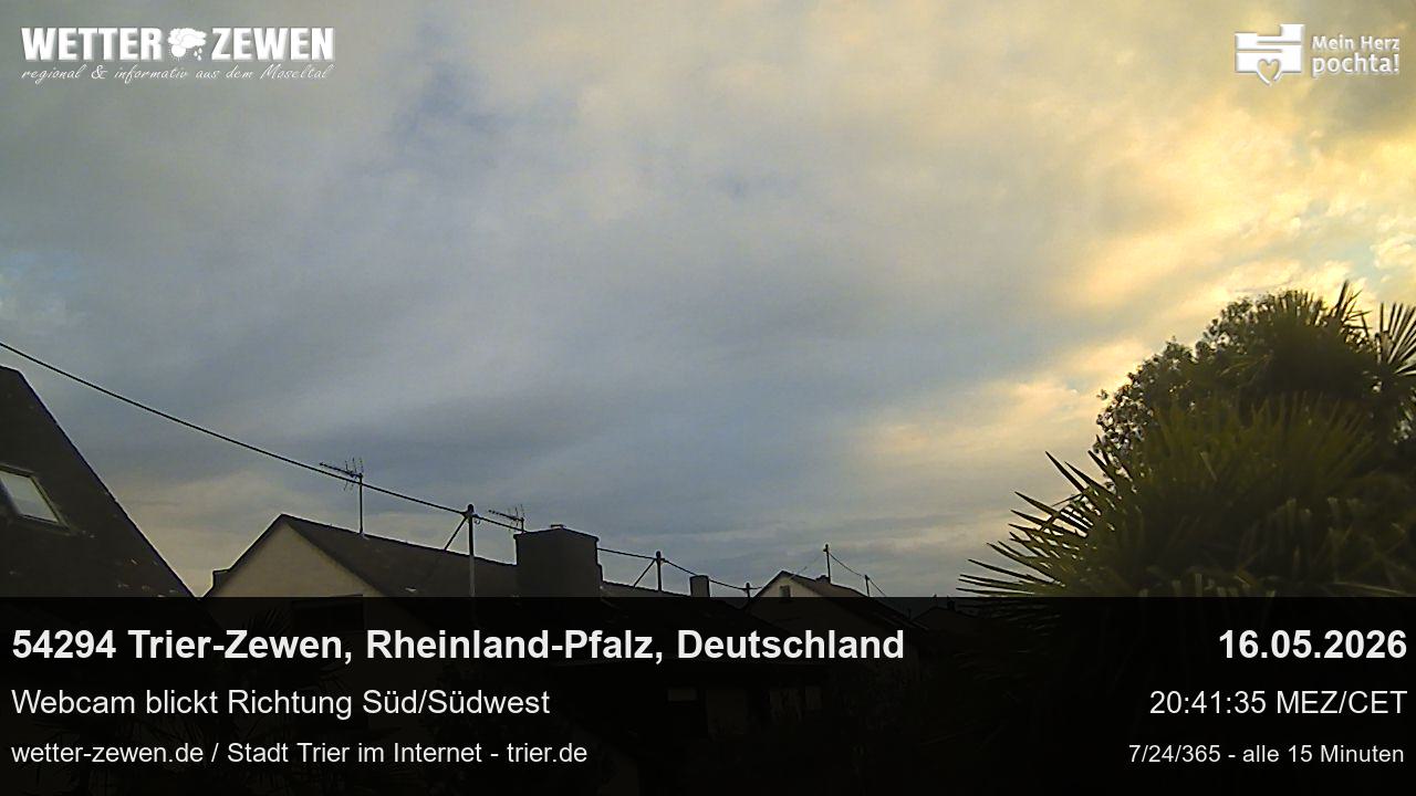 Bild