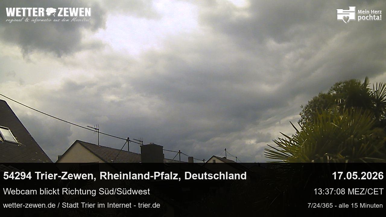 Bild