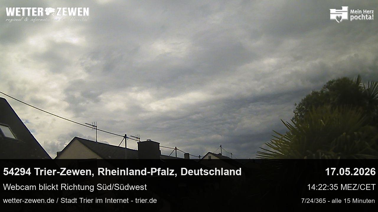 Bild