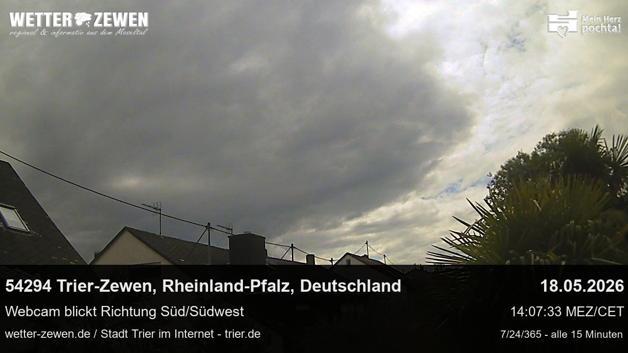 Bild