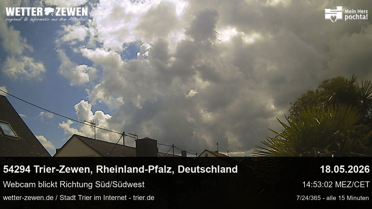 Bild