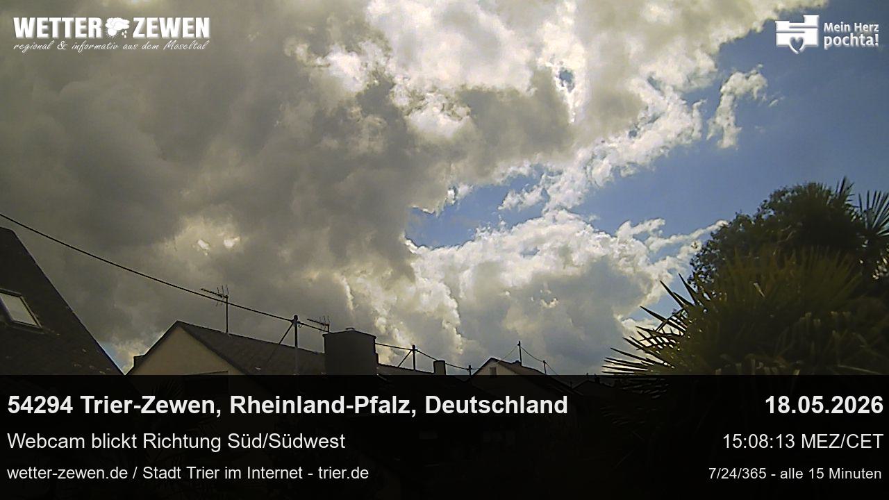 Bild