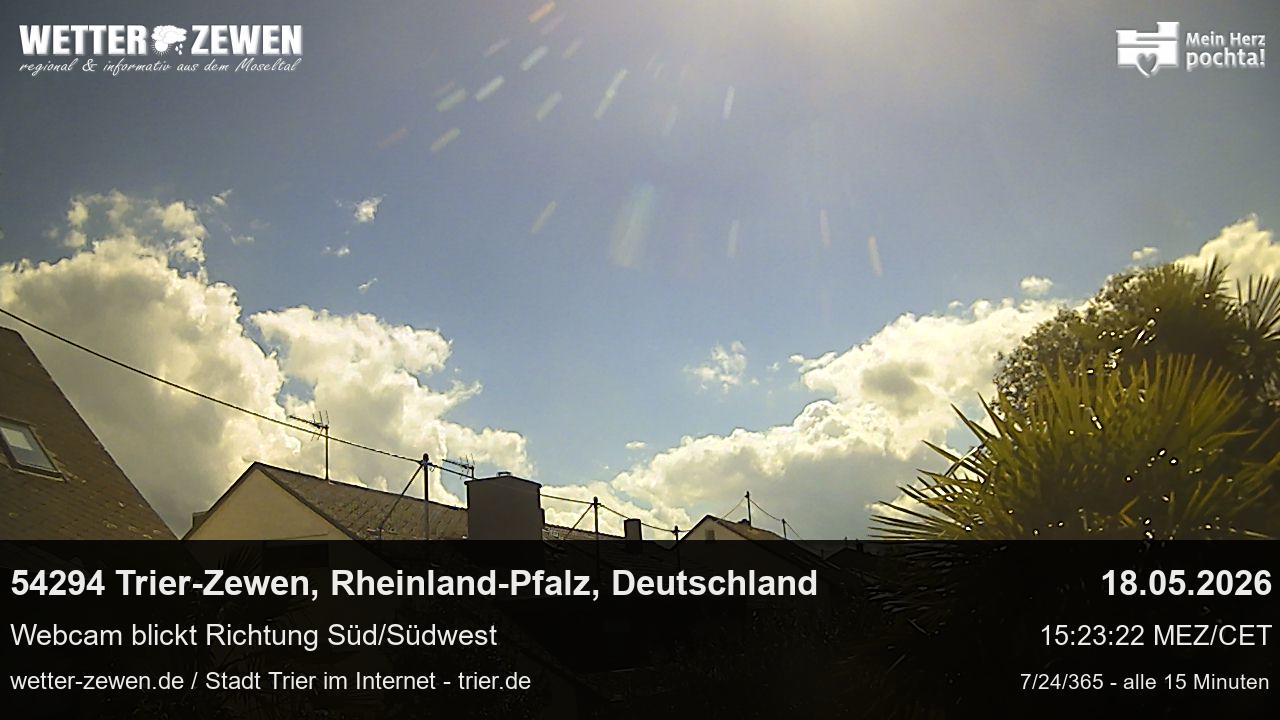Bild