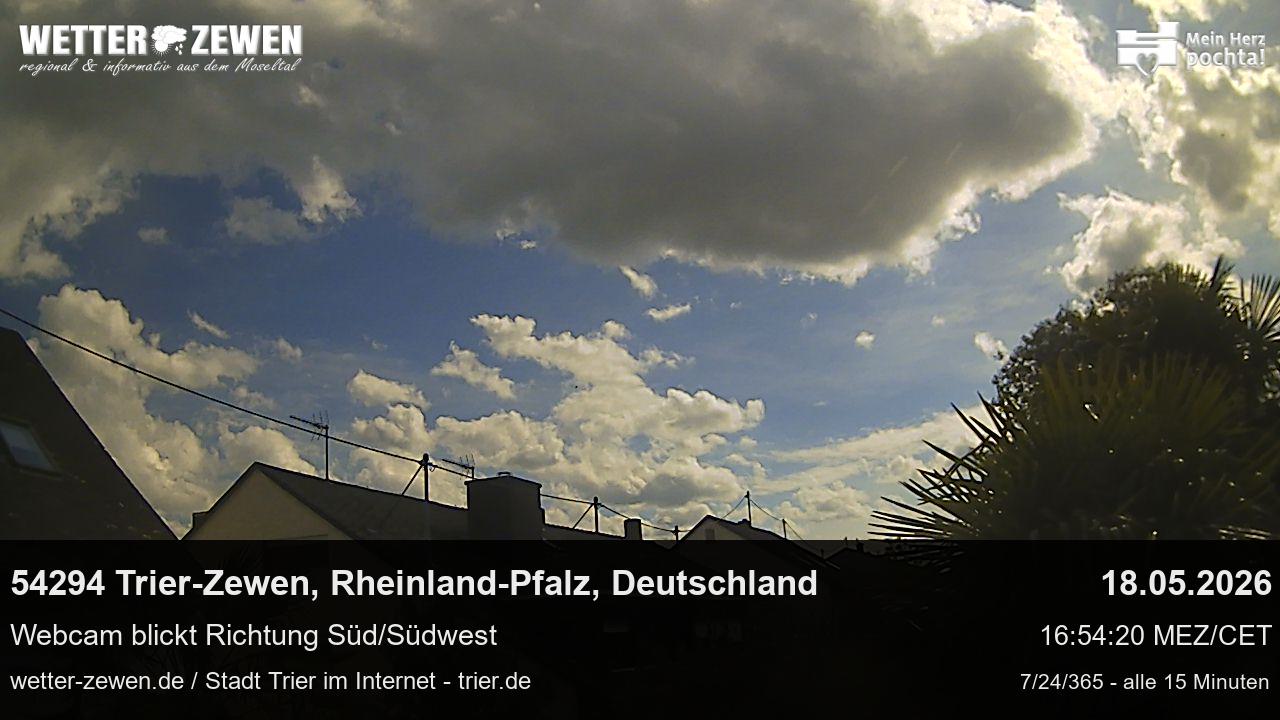 Bild