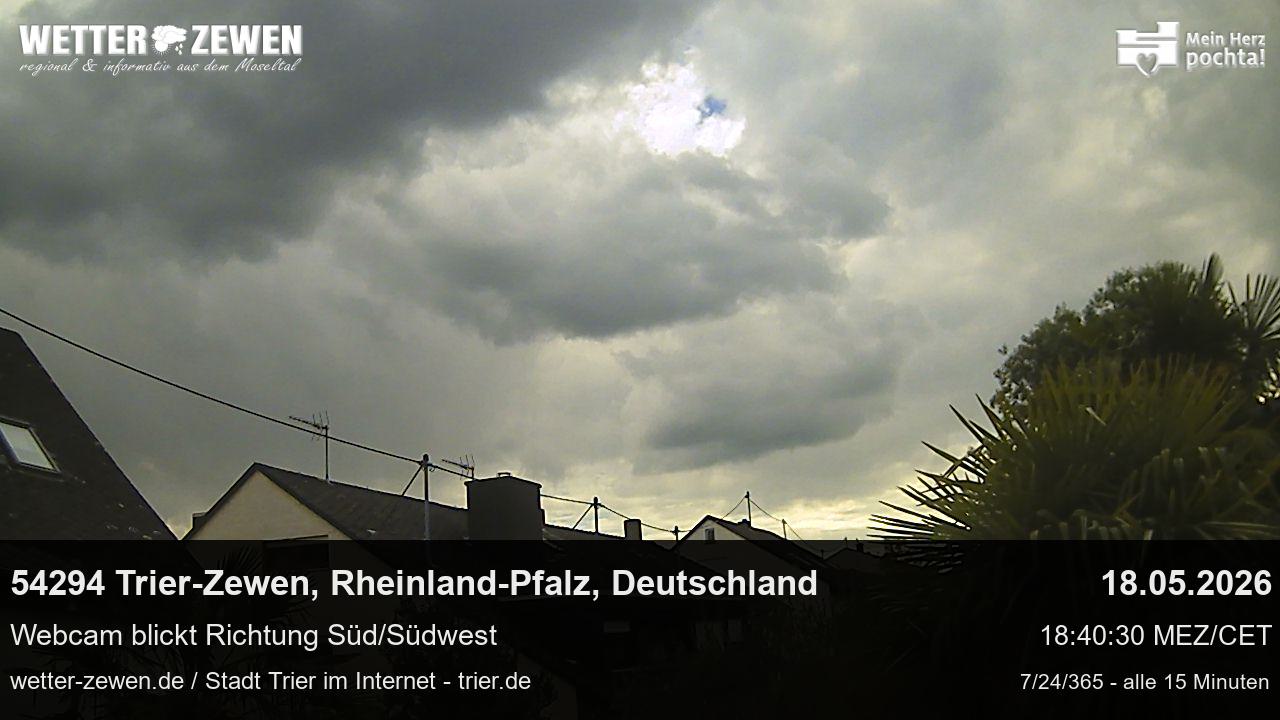 Bild