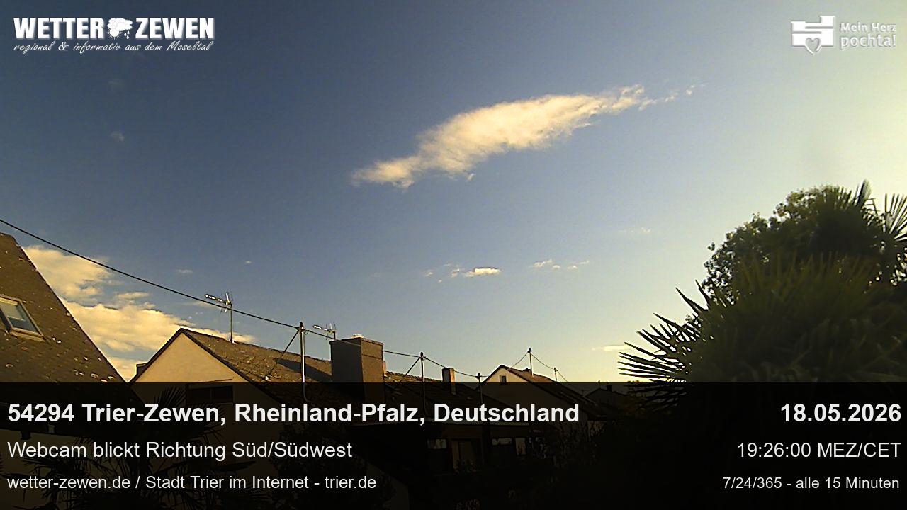 Bild