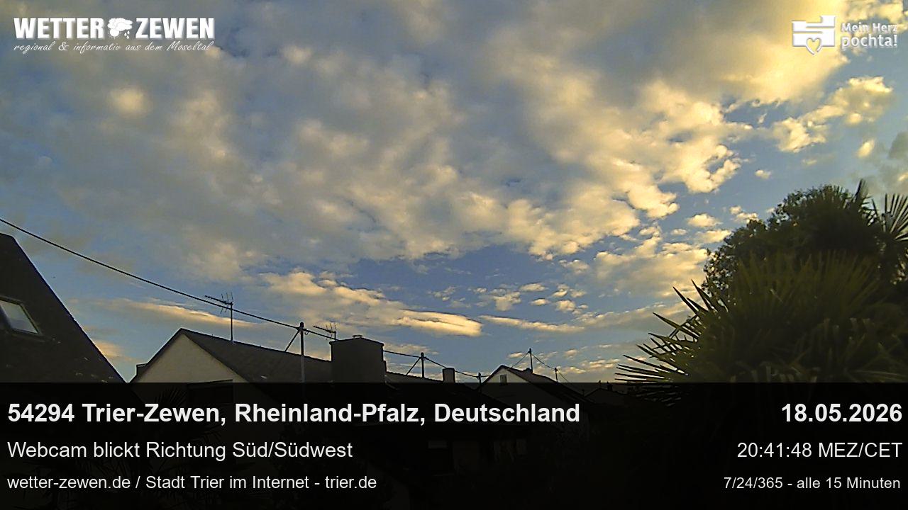 Bild