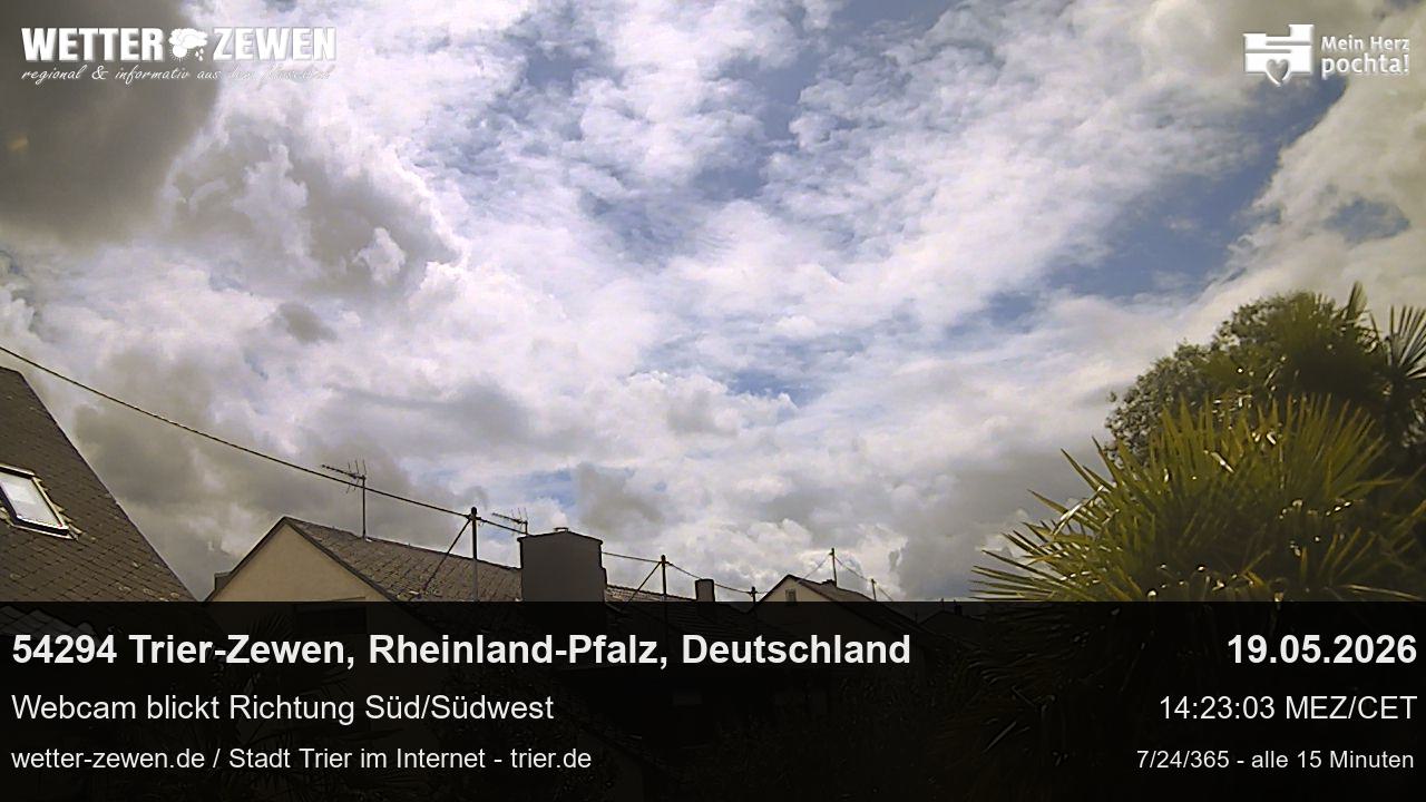 Bild