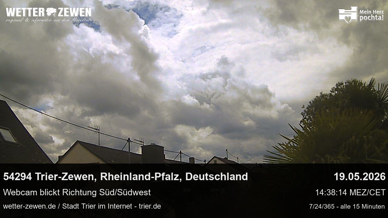Bild