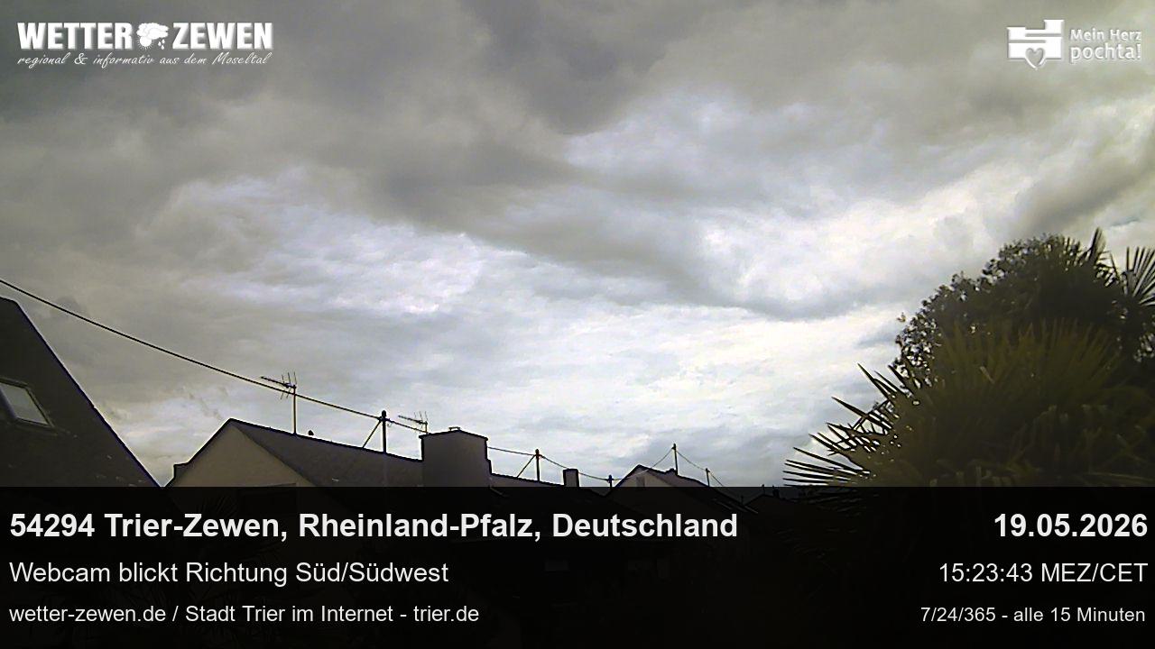 Bild