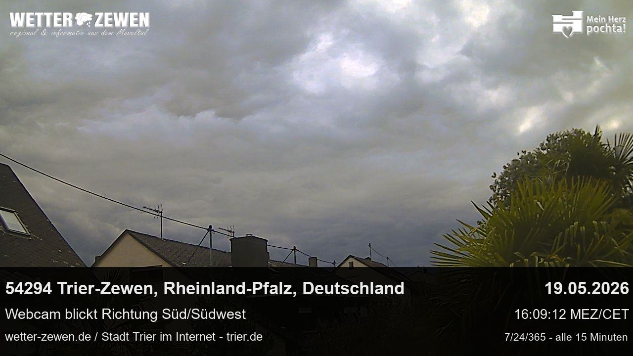 Bild