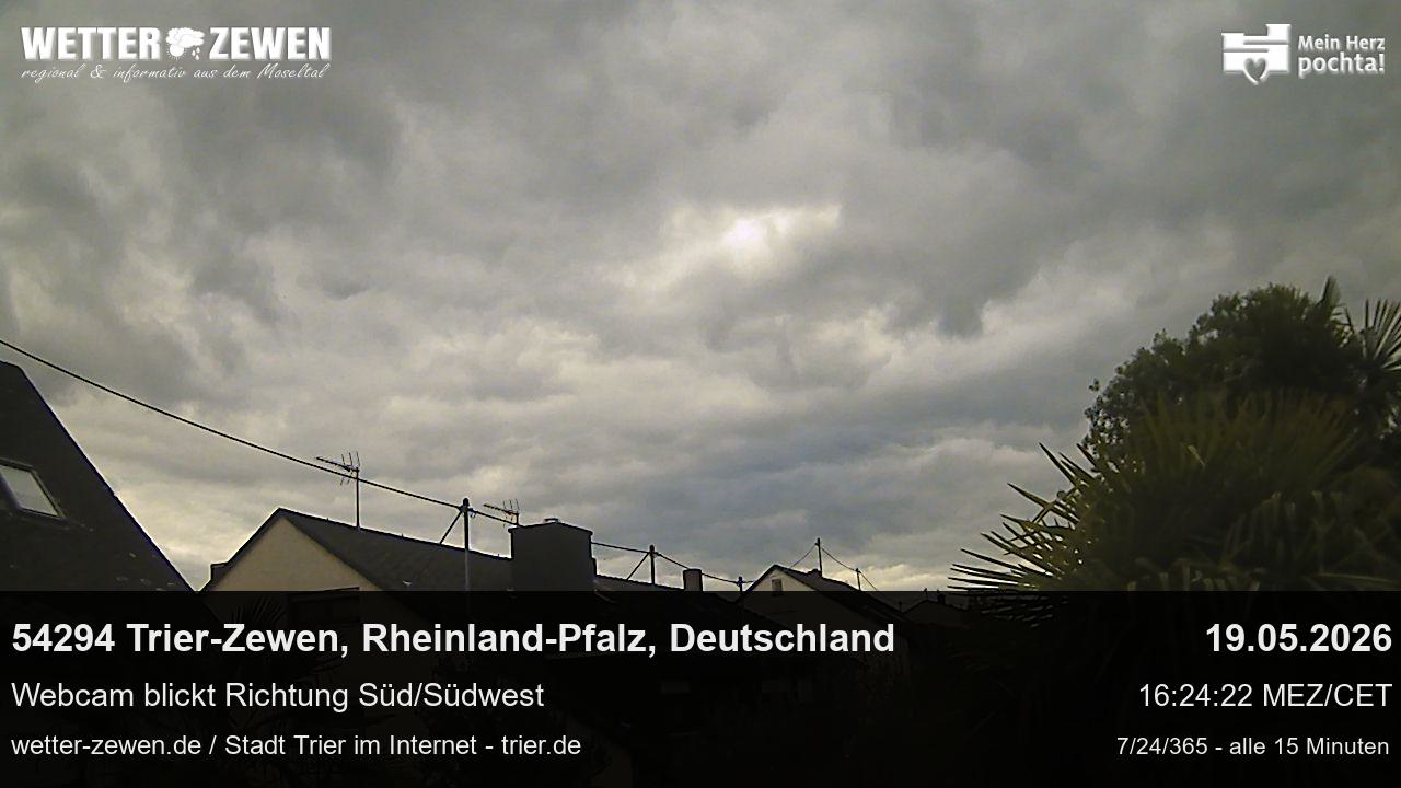 Bild