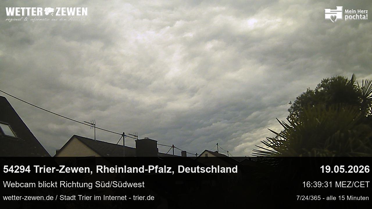 Bild