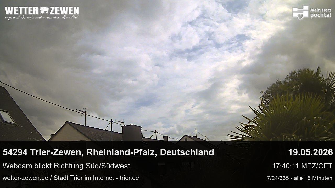 Bild