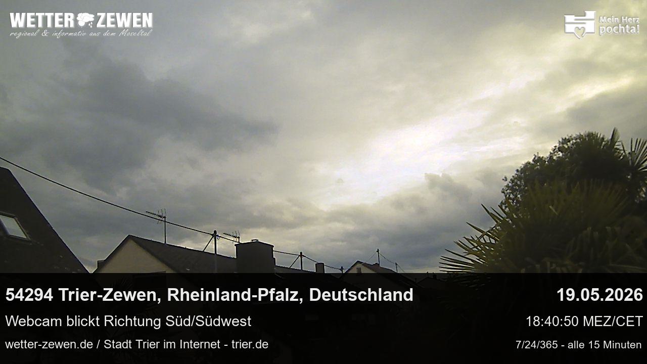 Bild