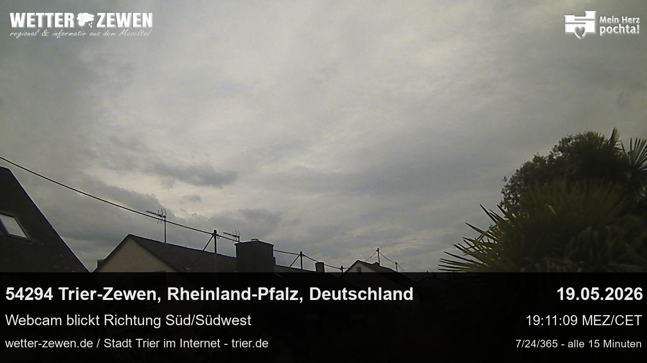 Bild